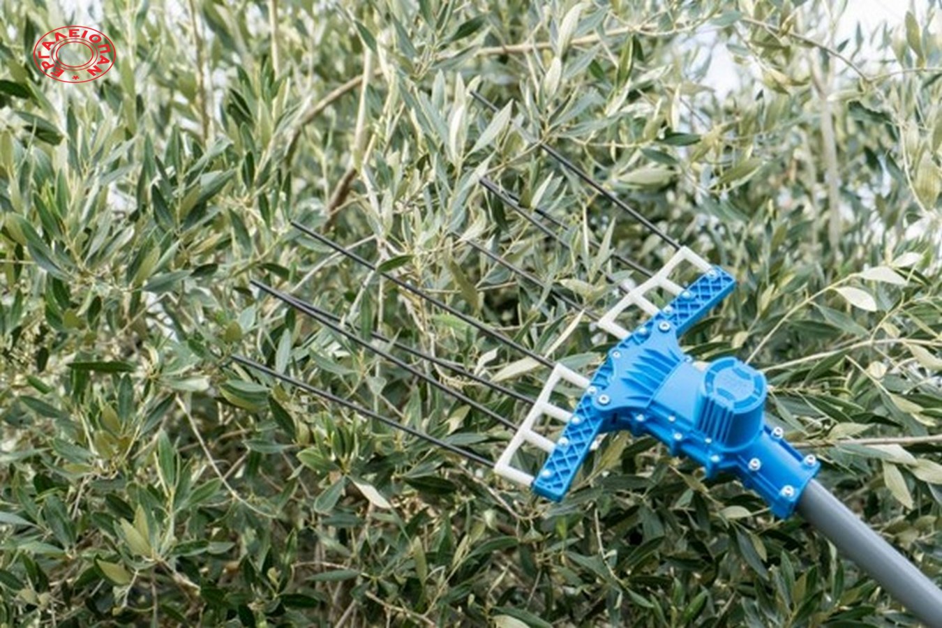 atrax electric 4 (Αντιγραφή)
