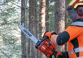 ECHO CS-362WES.06