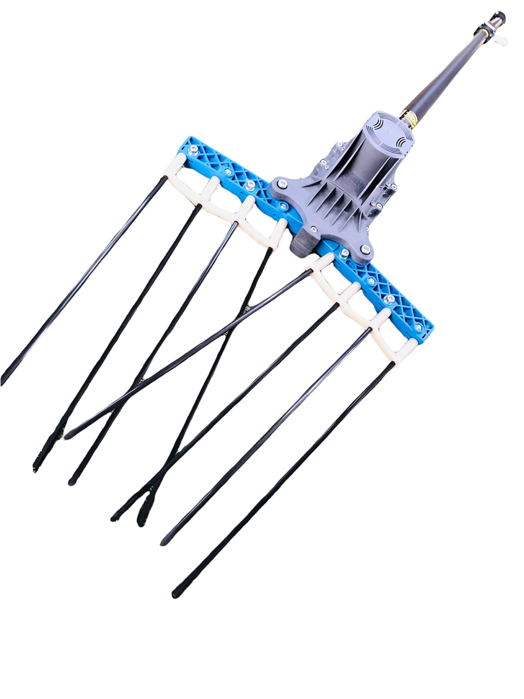 atrax5